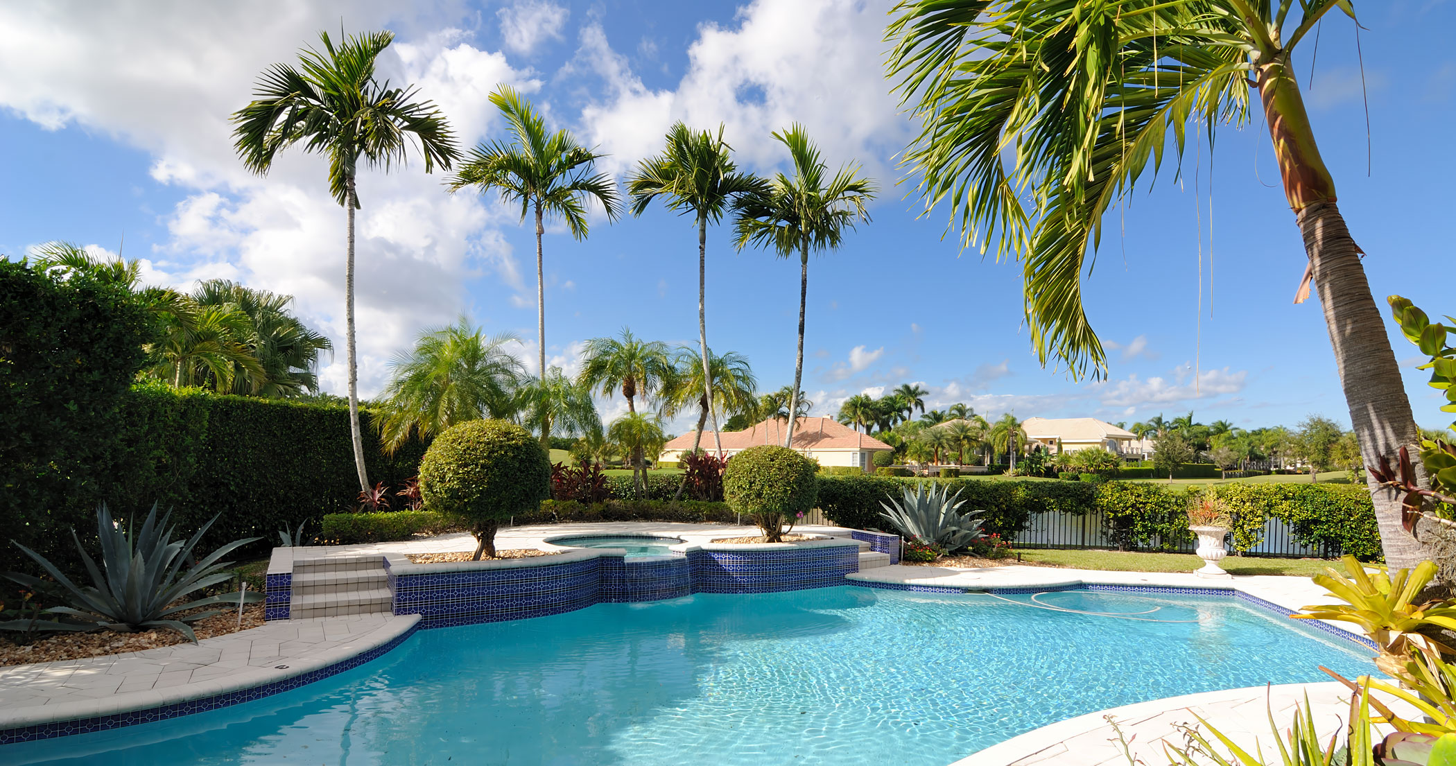 Pool and outdoor area